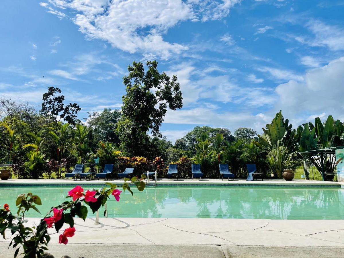 Puerto Viejo Club, Villas & Pool Puerto Viejo de Talamanca ภายนอก รูปภาพ