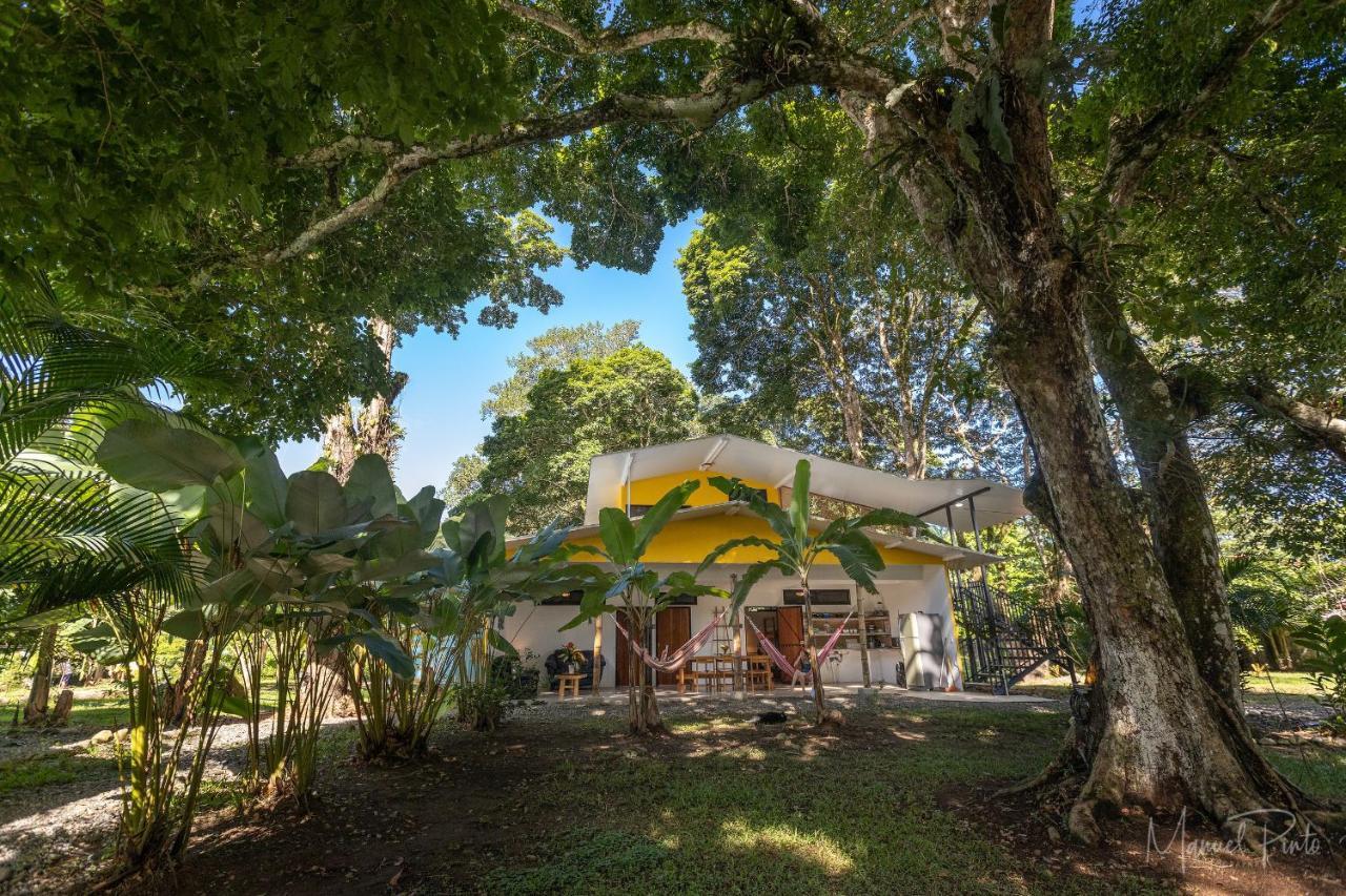 Puerto Viejo Club, Villas & Pool Puerto Viejo de Talamanca ภายนอก รูปภาพ