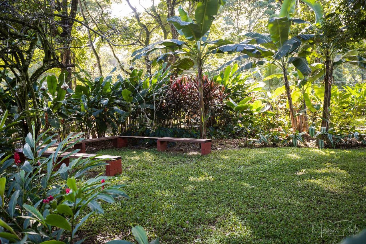 Puerto Viejo Club, Villas & Pool Puerto Viejo de Talamanca ภายนอก รูปภาพ