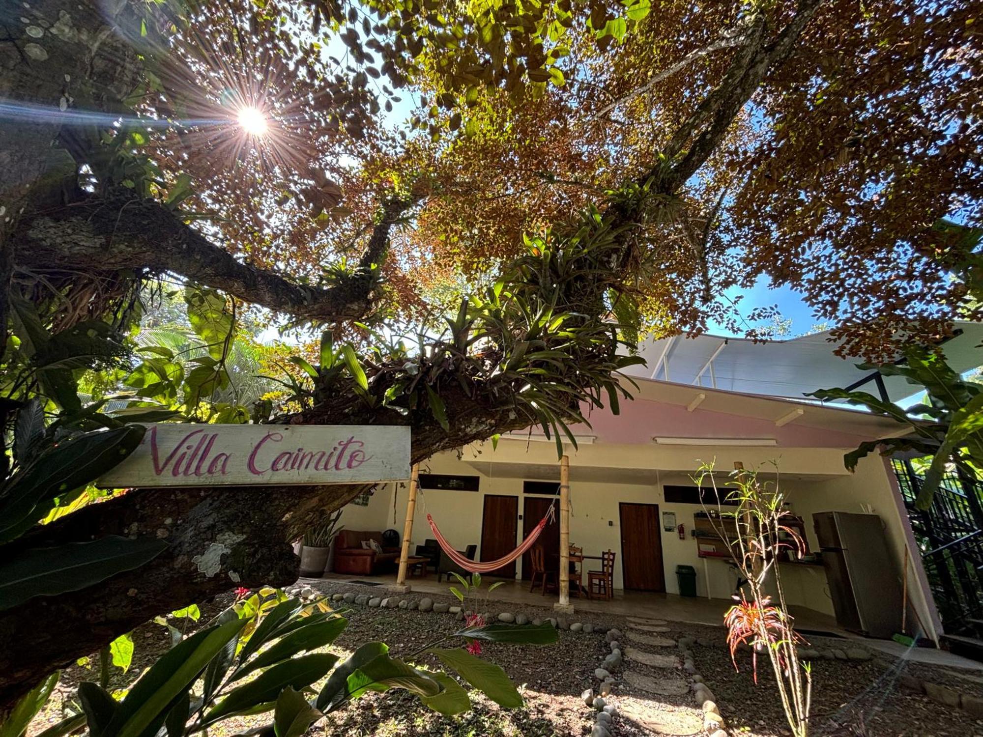 Puerto Viejo Club, Villas & Pool Puerto Viejo de Talamanca ภายนอก รูปภาพ